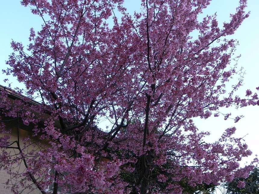 R0013156